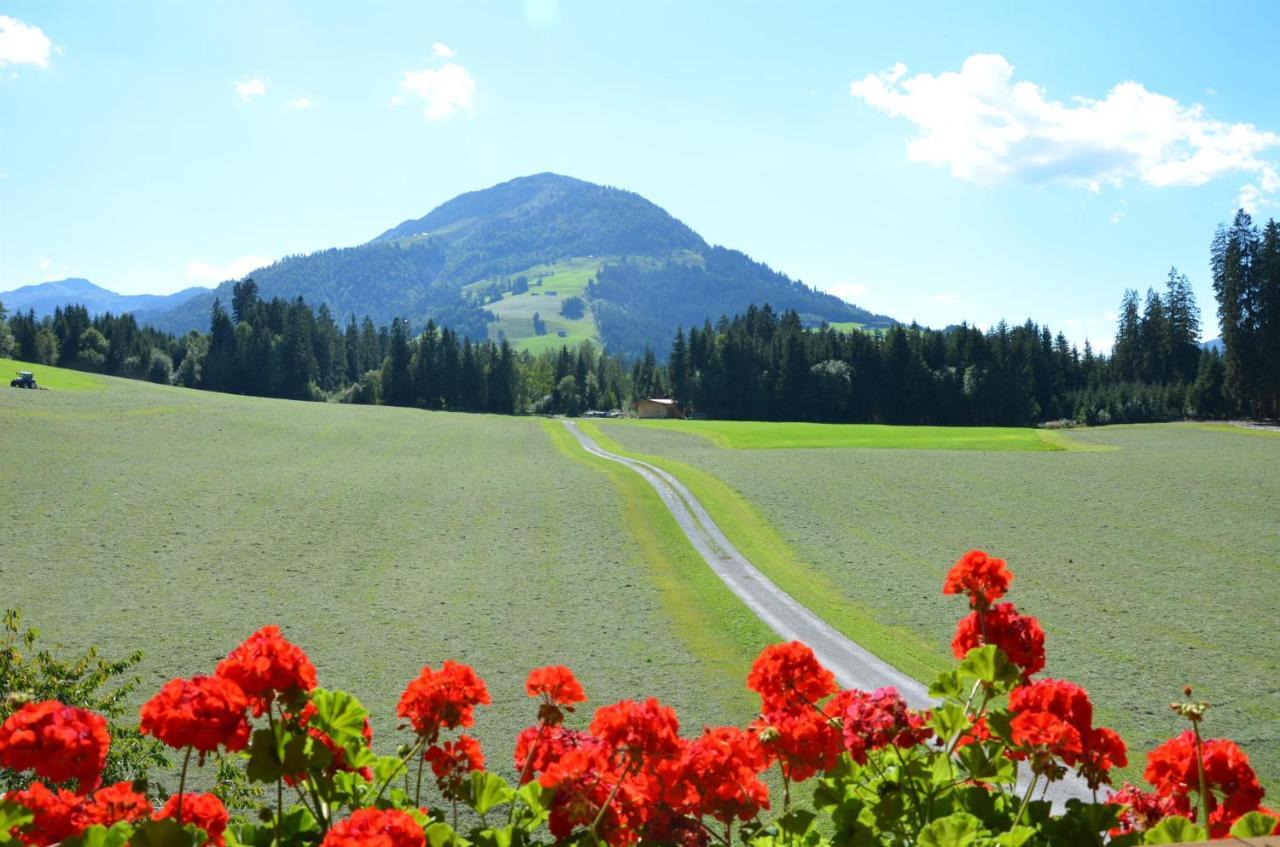 Pension Woetzinghof Kirchberg in Tirol Buitenkant foto