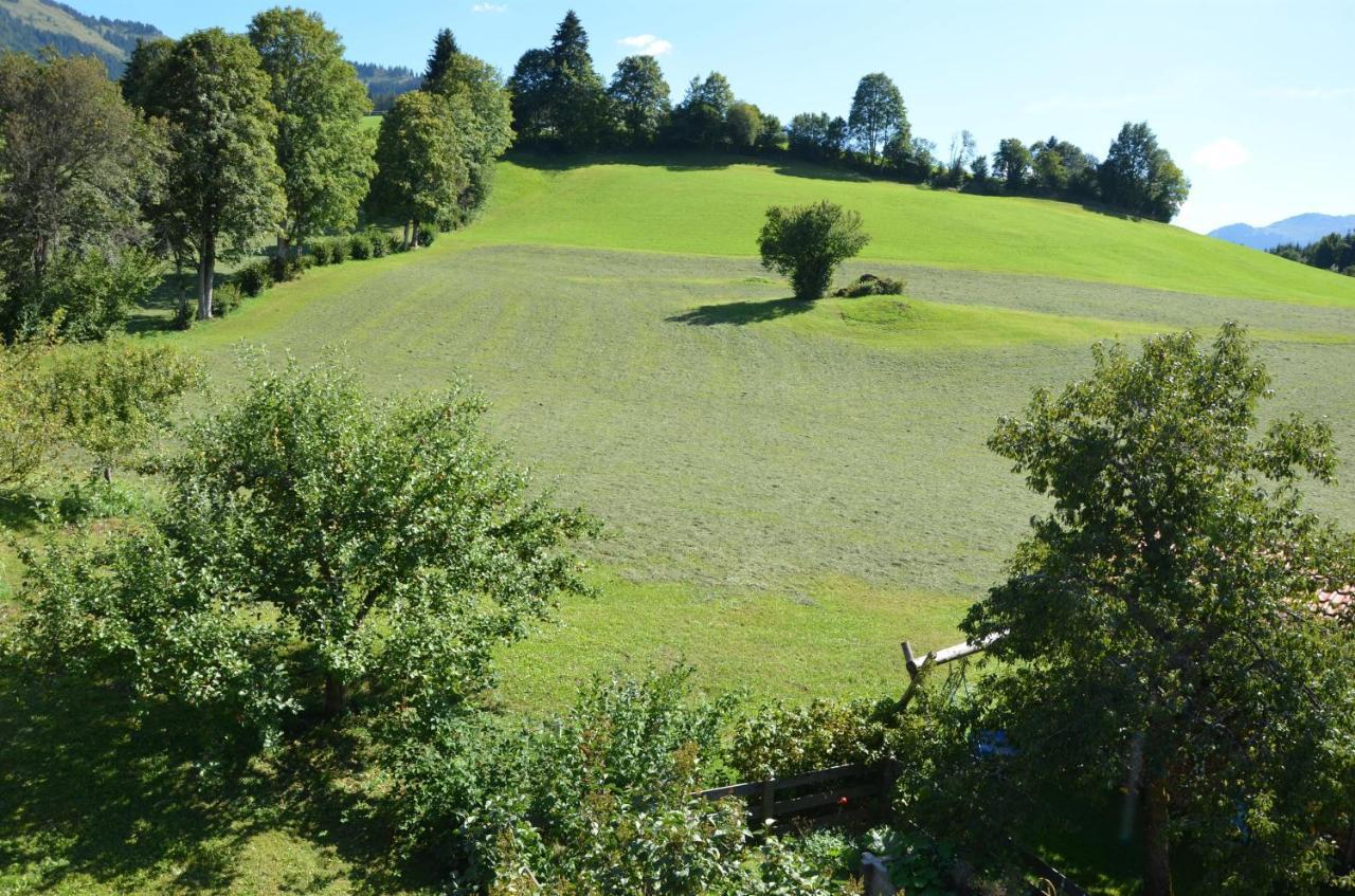 Pension Woetzinghof Kirchberg in Tirol Buitenkant foto