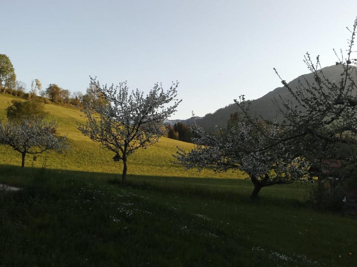 Pension Woetzinghof Kirchberg in Tirol Buitenkant foto