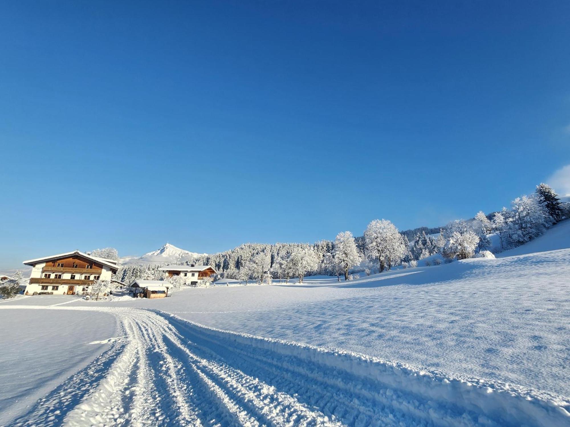 Pension Woetzinghof Kirchberg in Tirol Buitenkant foto