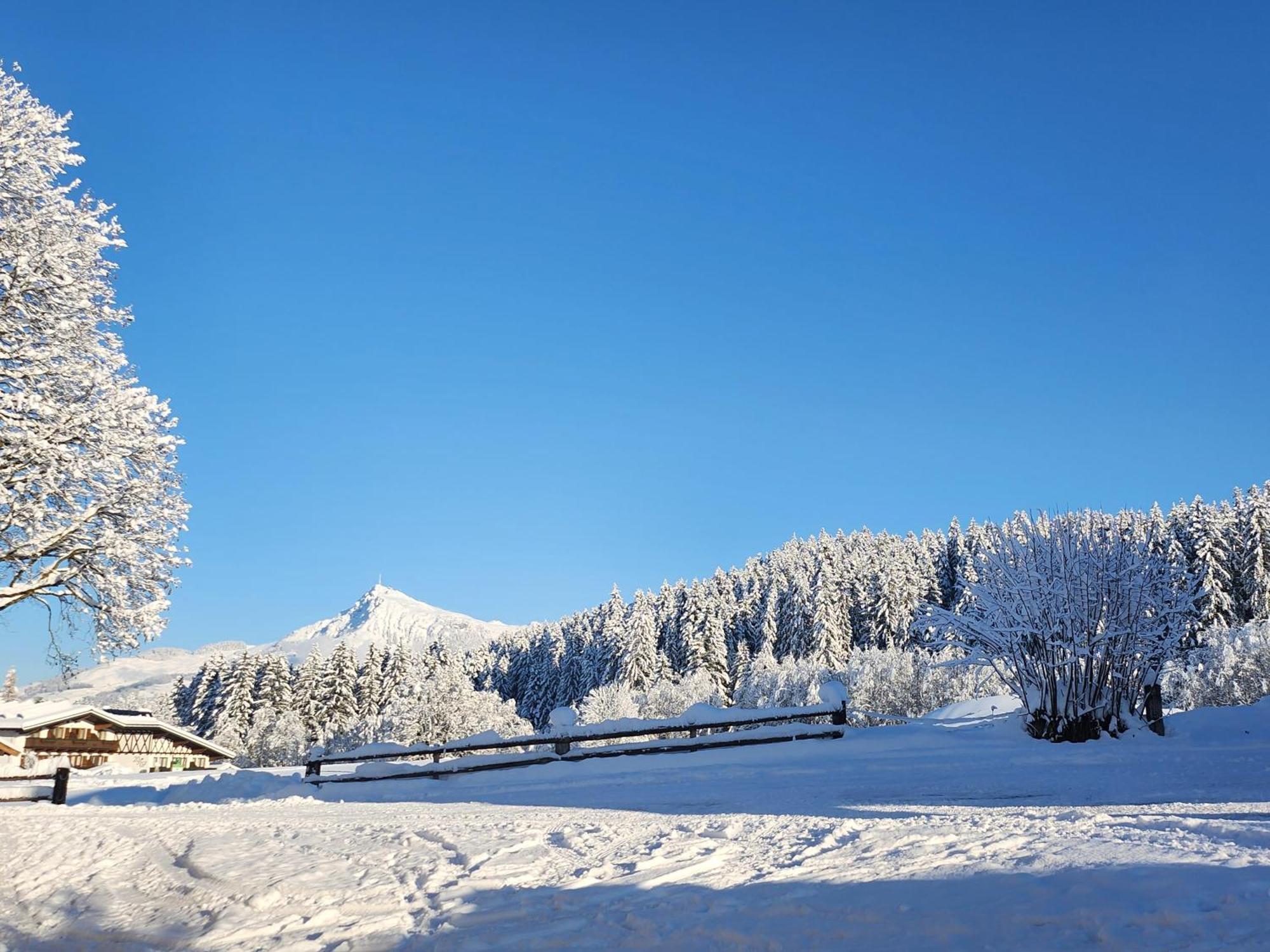 Pension Woetzinghof Kirchberg in Tirol Buitenkant foto