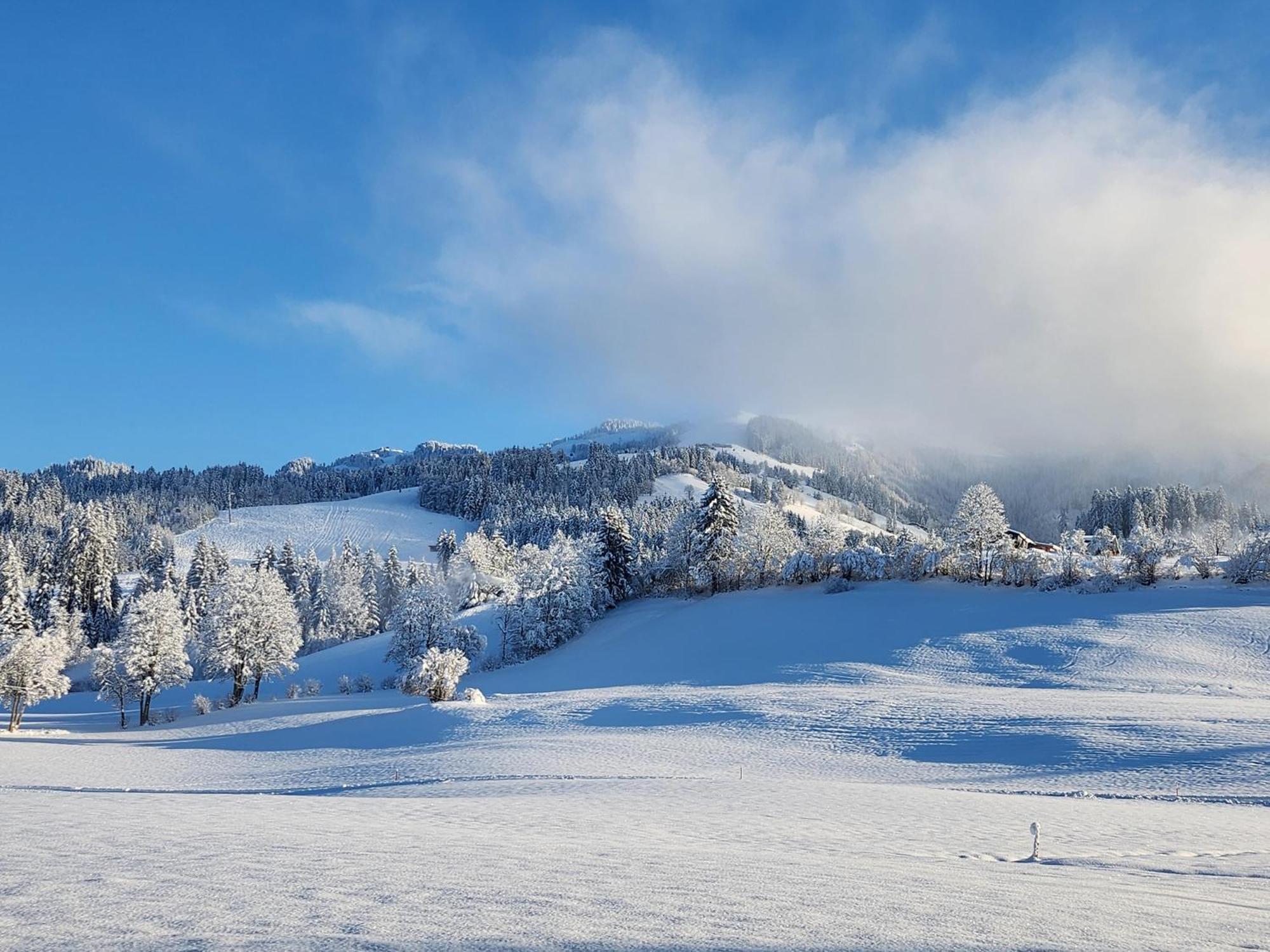 Pension Woetzinghof Kirchberg in Tirol Buitenkant foto
