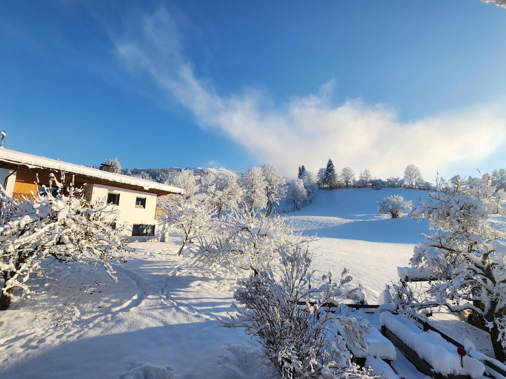 Pension Woetzinghof Kirchberg in Tirol Buitenkant foto
