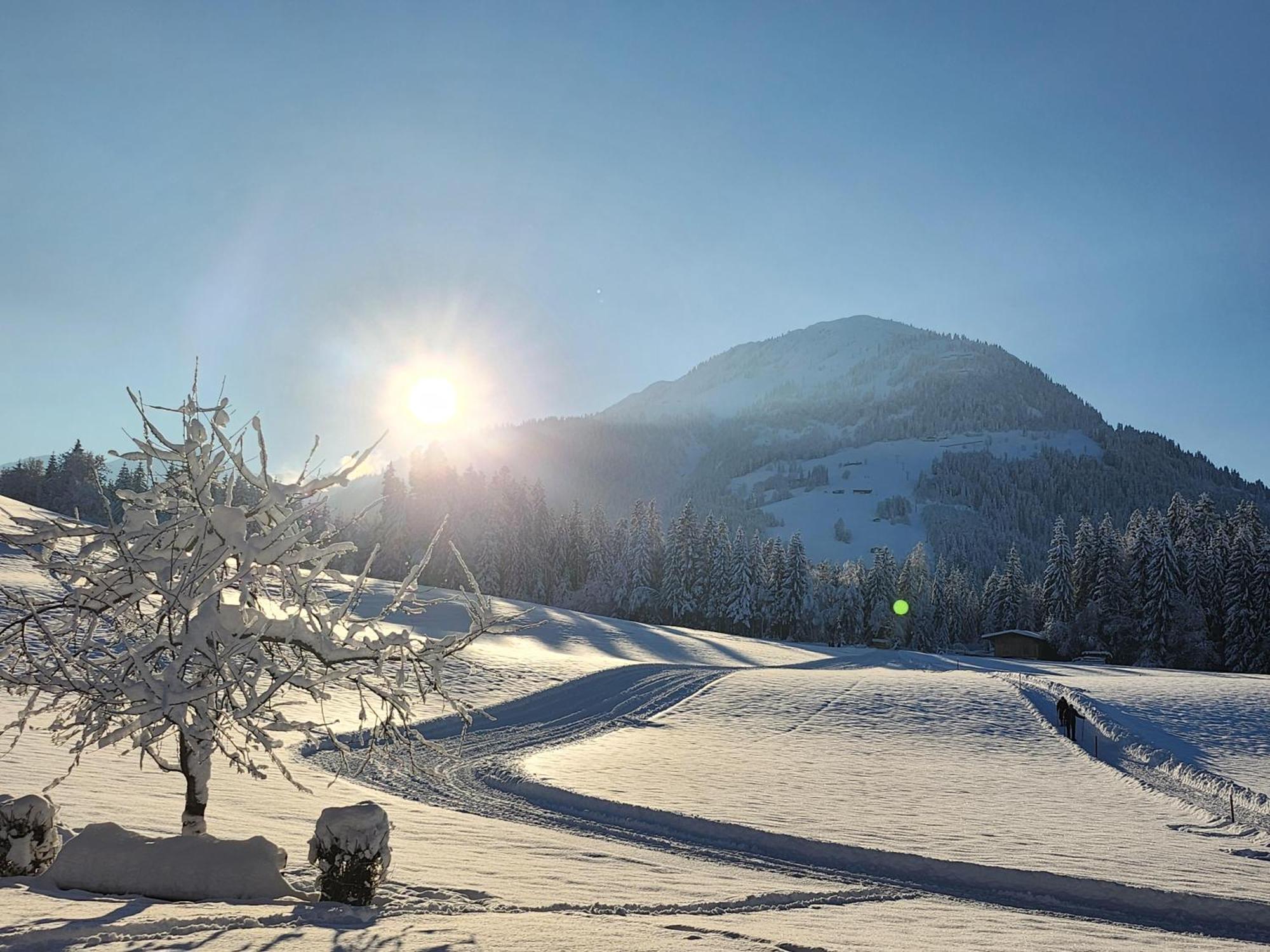 Pension Woetzinghof Kirchberg in Tirol Buitenkant foto