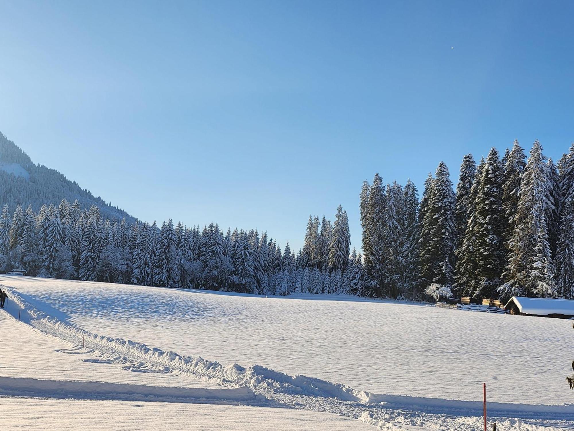 Pension Woetzinghof Kirchberg in Tirol Buitenkant foto