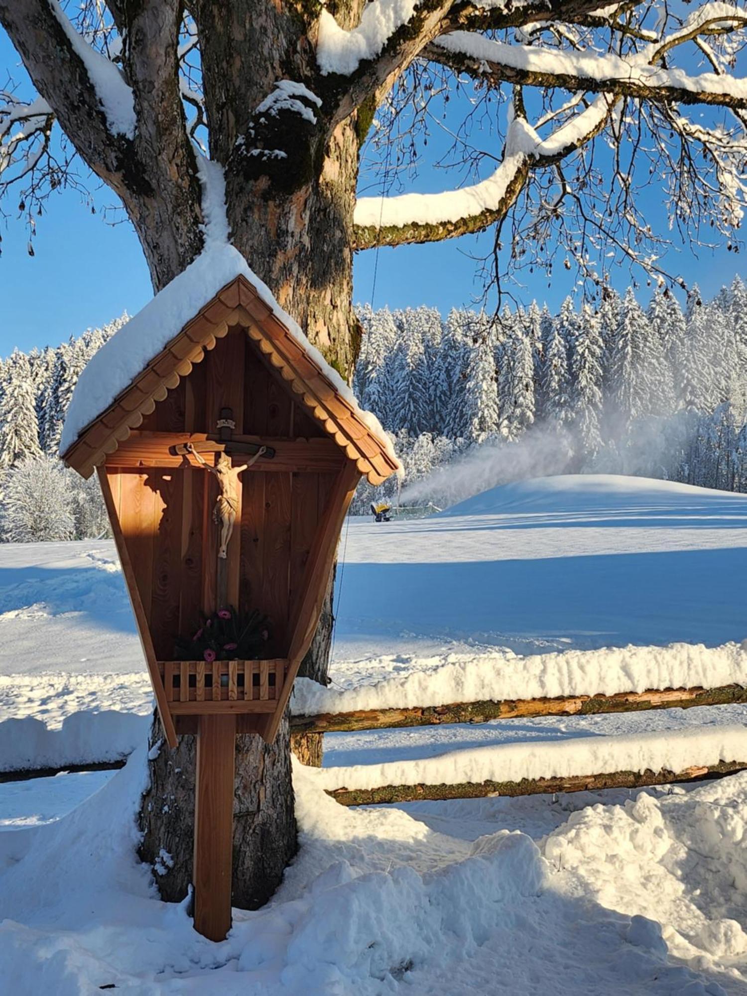 Pension Woetzinghof Kirchberg in Tirol Buitenkant foto