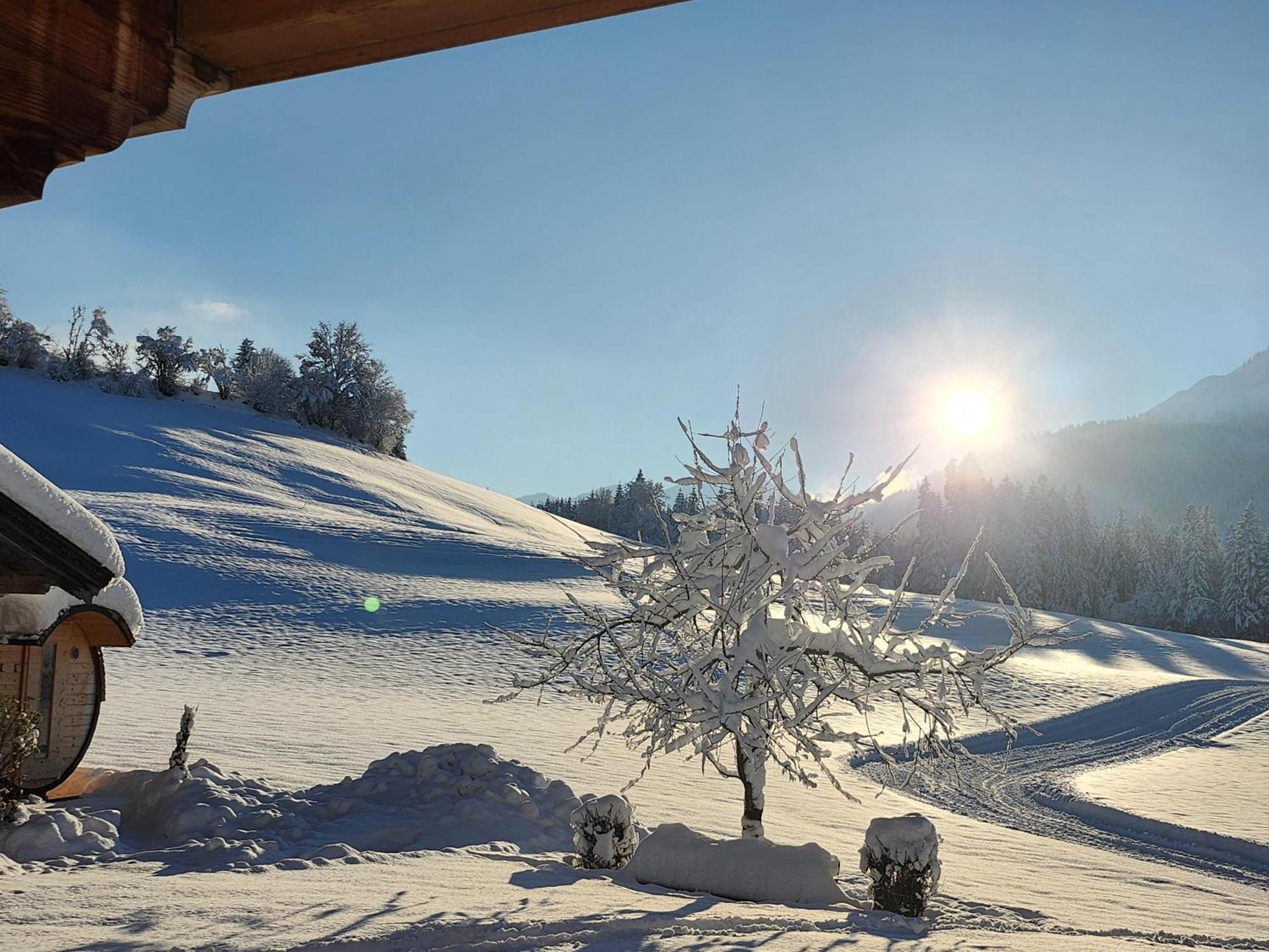 Pension Woetzinghof Kirchberg in Tirol Buitenkant foto